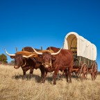 Soul-Mates and Help-Mates