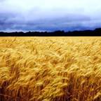 Katharine Lee Bates: America, the Beautiful