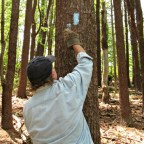 Maintaining the Trail