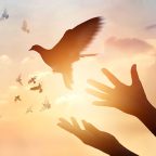 The Gift of Forgiveness